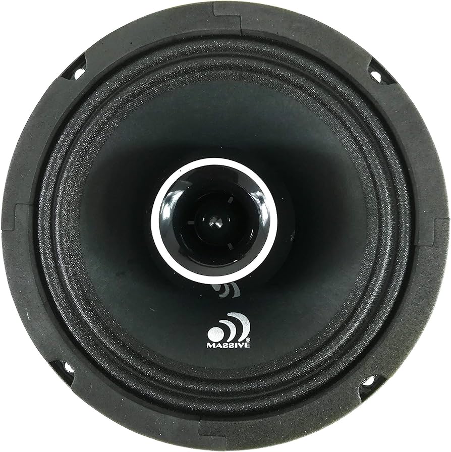 Bocina 6.5" Massive Audio P65X V2