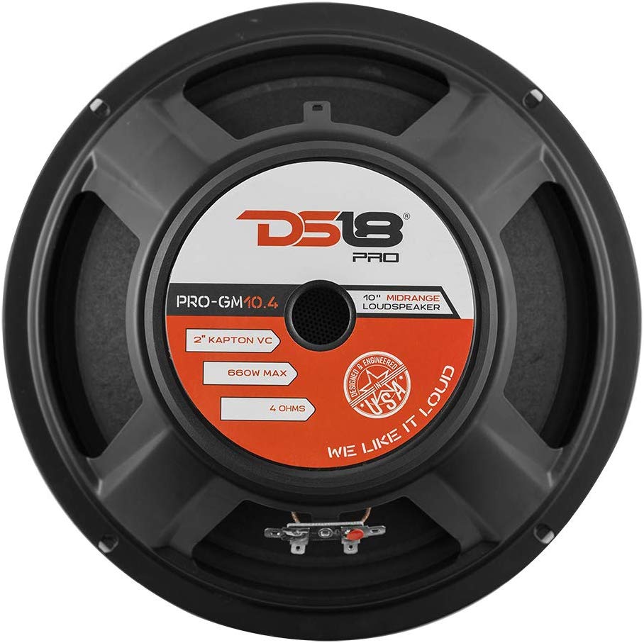Bocina 10" DS18 PRO-GM10