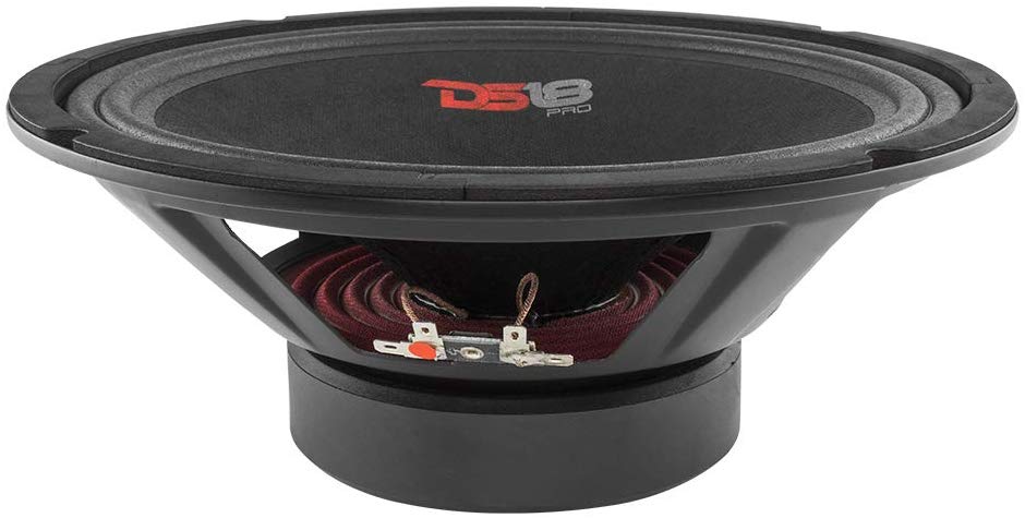 Bocina 10" DS18 PRO-GM10