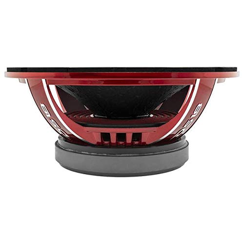 Bocina 12" DS18 PRO-EXL124