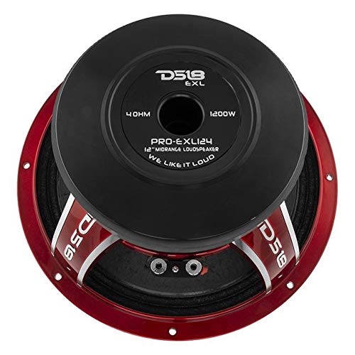 Bocina 12" DS18 PRO-EXL124